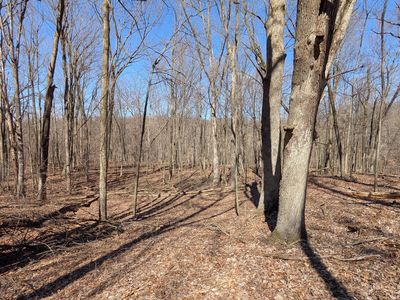 8289 52nd St SE, Alto, MI, 49302