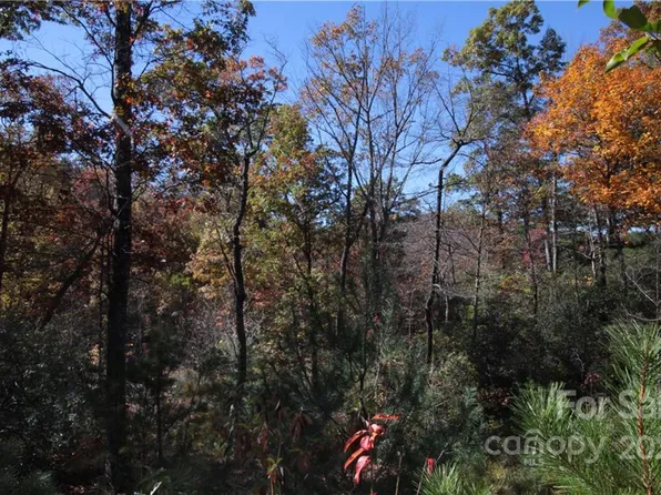 9 Kelly Mountain Rd, Brevard, NC 28712