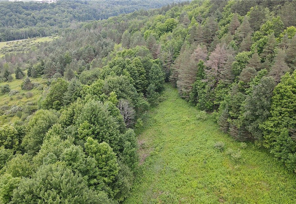 1st image of 0 Hornell Reservoir Rd #13