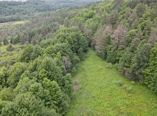 0 Hornell Reservoir Rd #13, Hornell, NY 14843