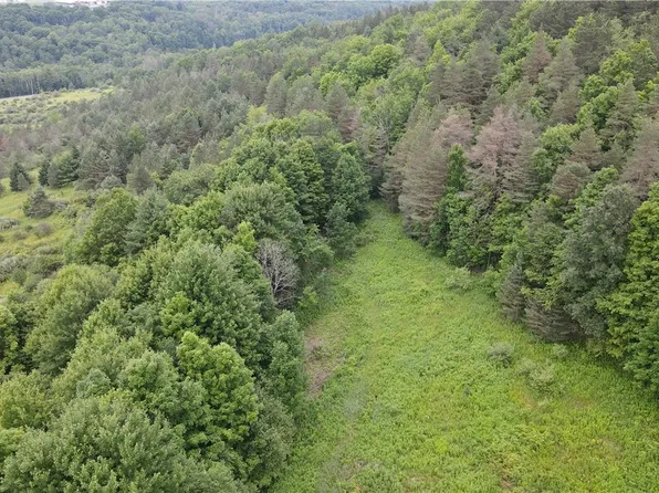 0 Hornell Reservoir Rd #13, Hornell, NY 14843