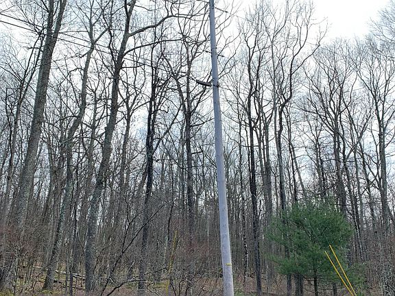 5th image of 222 Fox Rd