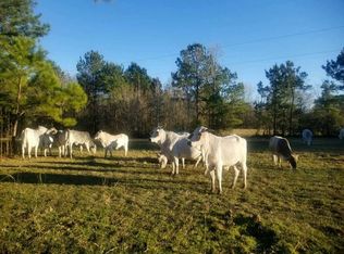 705 County Road 825, Orange, TX 77632