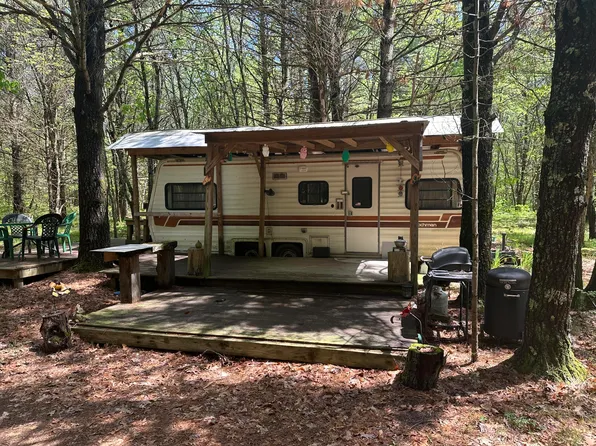 5451 S James Rd, Baldwin, MI 49304