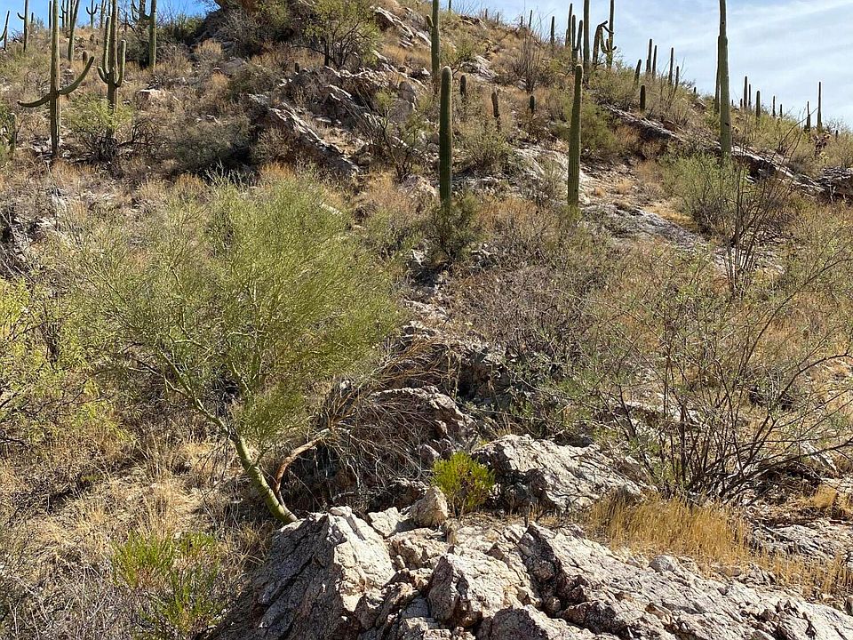 1st image of 7358 N Secret Canyon Dr #18