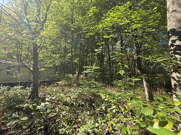 3rd image of 12073 E Lucky Point Rd