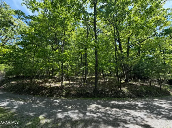 0 Alpine Ln, Altoona, PA 16601