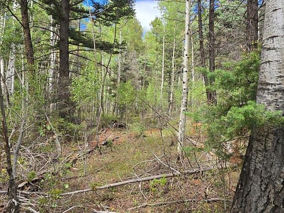 3rd image of Lot 6269 Shioshita Road LOT 6269