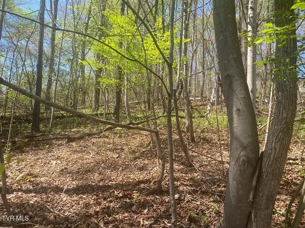 LOT 24 Tanasi Dr, Newport, TN 37821