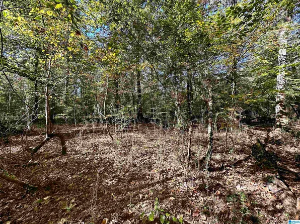 0 Weatherton Trl #0, Harpersville, AL 35078
