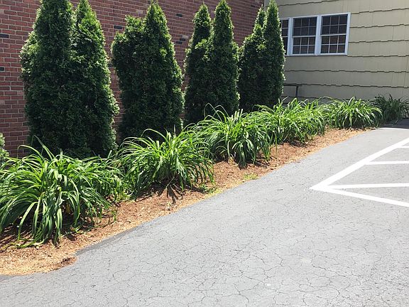 Garden area outside bedroom windows