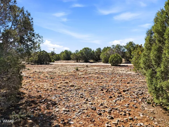 8396 Bear Meadow Dr, Show Low, AZ 85901