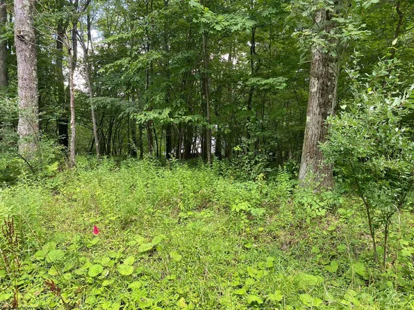 72 Oak Grv, Terra Alta, WV 26764