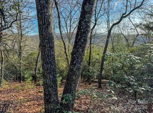 1 Dave Whitaker Rd, Horse Shoe, NC 28742