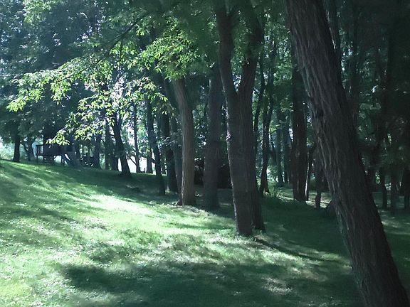 2nd image of 9056 Pleasant Valley Rd