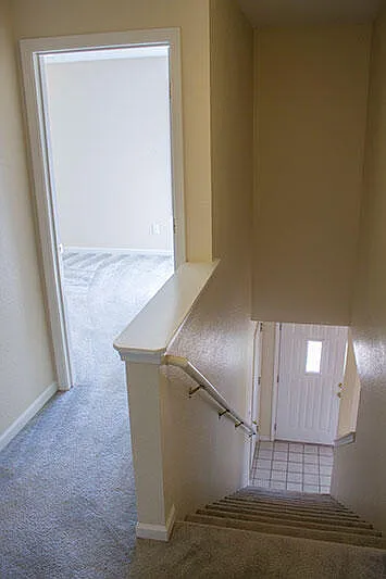 5204 Tessa Way — Photo 18