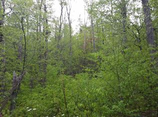 327 Bergabhang Dr #327, Readsboro, VT 05350