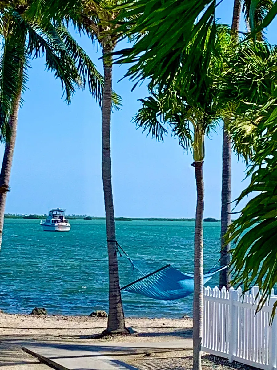 Building Photo - 55 Boca Chica Rd #105