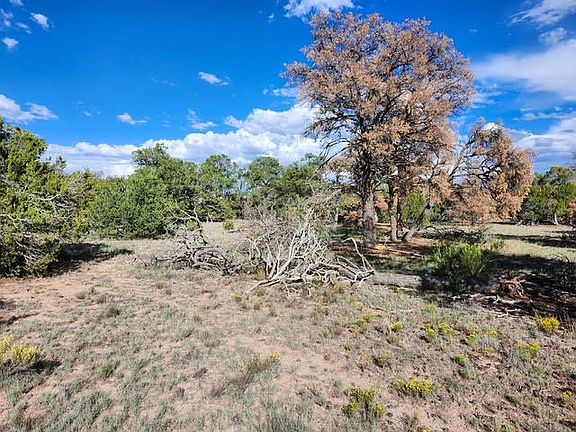 4th image of 15 Cattle Track Dr