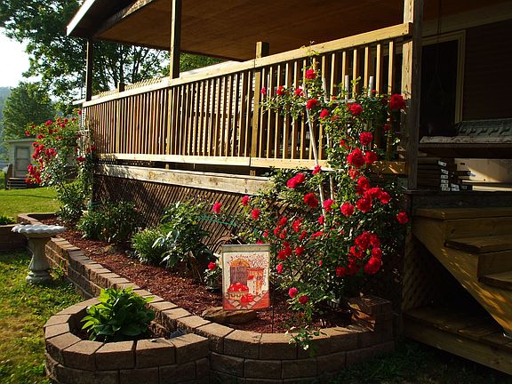 Back Porch Flower Garden