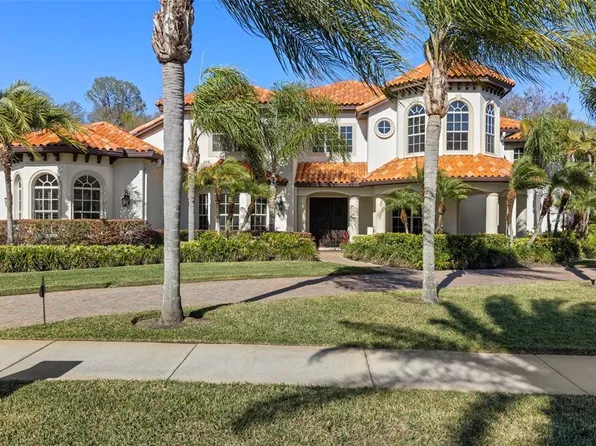 17801 Saint Lucia Isle Dr, Tampa, FL 33647