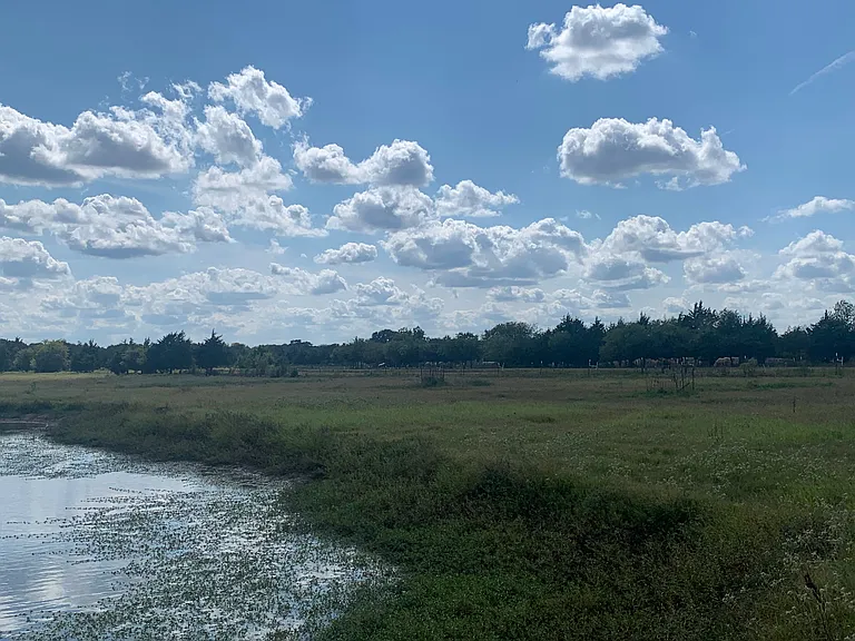 2339 W FM 898 — Photo 17