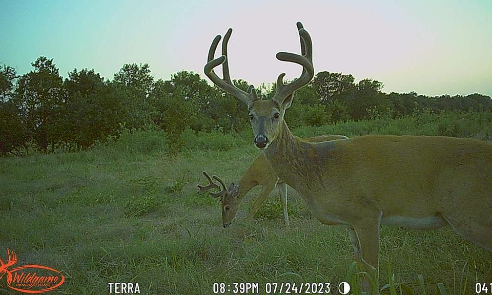 1st image of 2678 County Road 2100