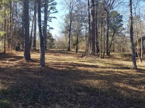 18244 N Lakeview Dr, Troup, TX 75789