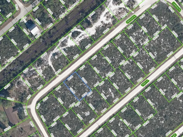3154 Oregon Pl, Lake Placid, FL 33852