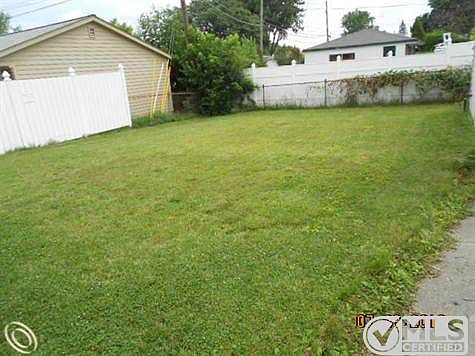 Back Yard