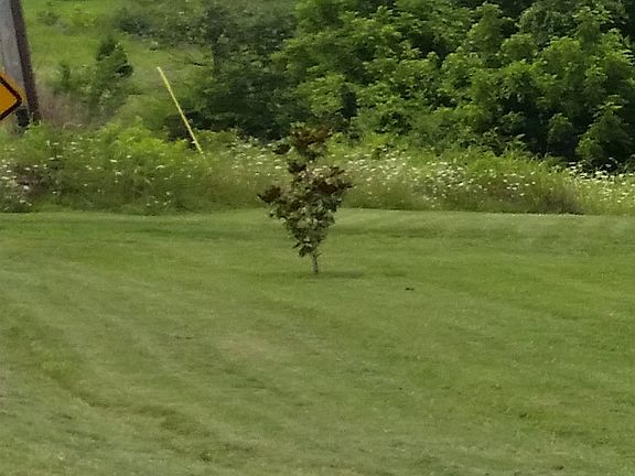 2nd image of 3359 Hwy 13