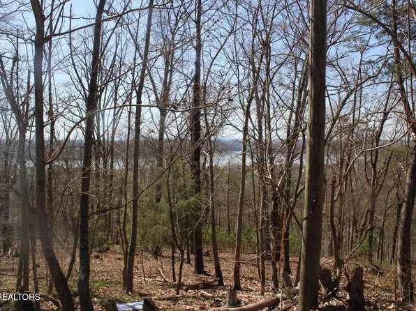 828 Wilderness Dr, Mooresburg, TN 37811