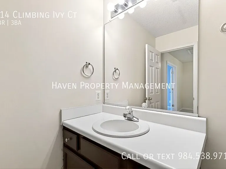 214 Climbing Ivy Ct — Photo 22