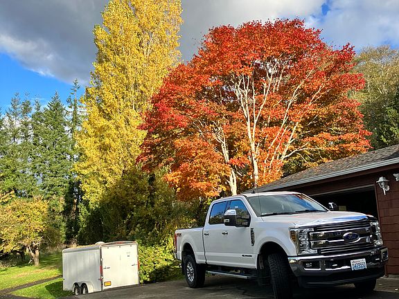 2nd image of 1171 Ray Hicks St