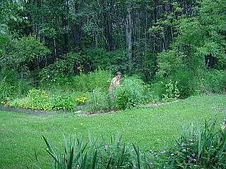 2nd image of 494 Limekiln Rd