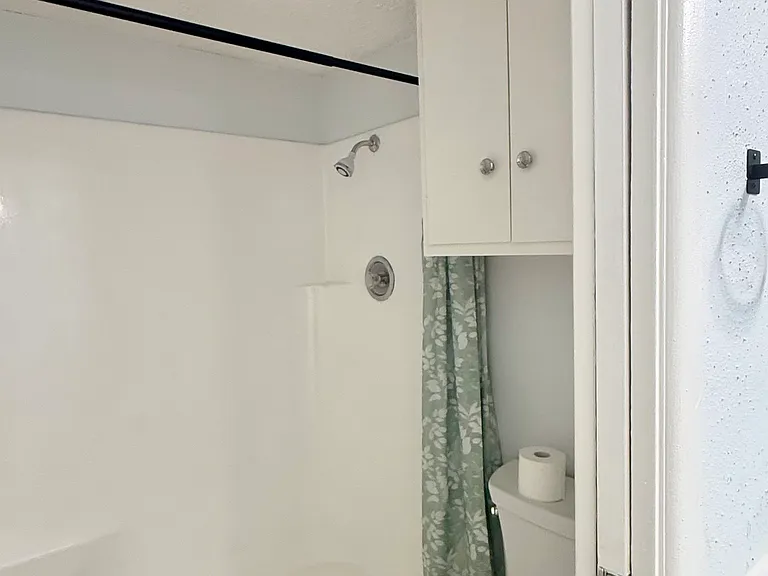 Upstairs full bathroom shower