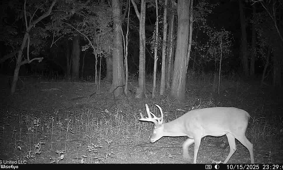 34th image of this home