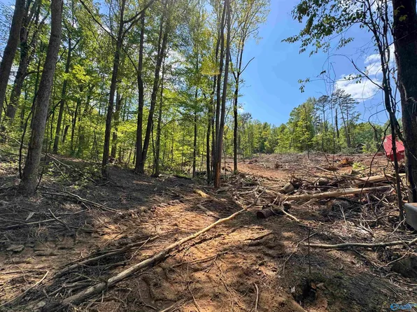 / Fish Trap Rd, Grant, AL 35747