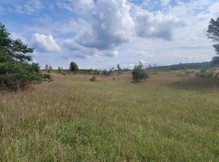 PARCEL Helena Rd #J, Alden, MI 49612