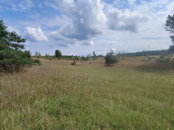 PARCEL Helena Rd #J, Alden, MI 49612