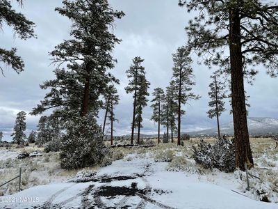 2347 E Spring Valley Rd, Williams, AZ, 86046