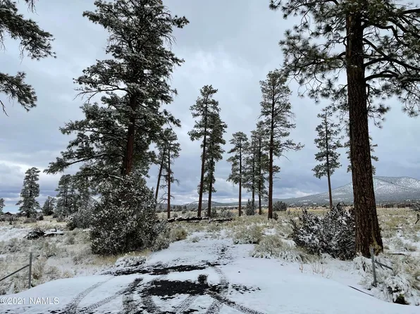 2347 E Spring Valley Rd, Williams, AZ 86046