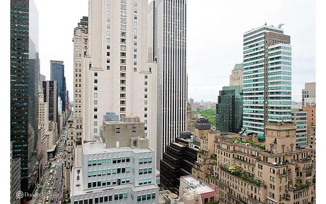 Sold by Douglas Elliman | media 5