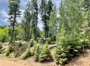 453 Pinon Ln, Florissant, CO 80816