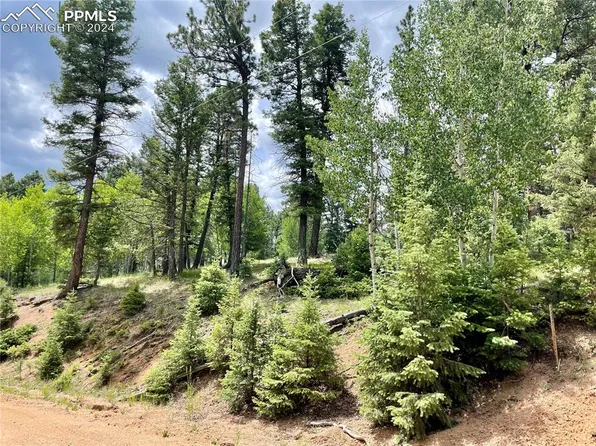 453 Pinon Ln, Florissant, CO 80816