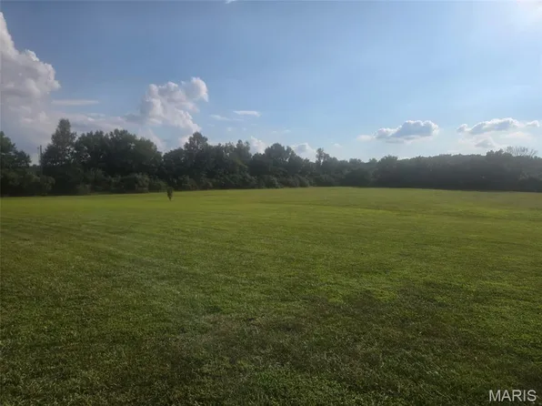 2513 Watson Rd, Park Hills, MO 63601