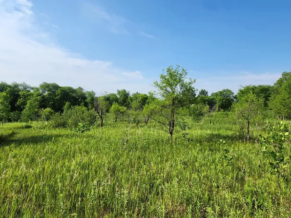 507 W Gilbertson St, Battle Lake, MN 56515