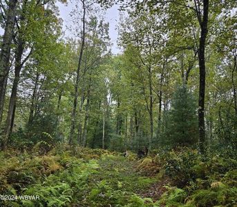 280 Elk Ridge Ln, Lock Haven, PA, 17745