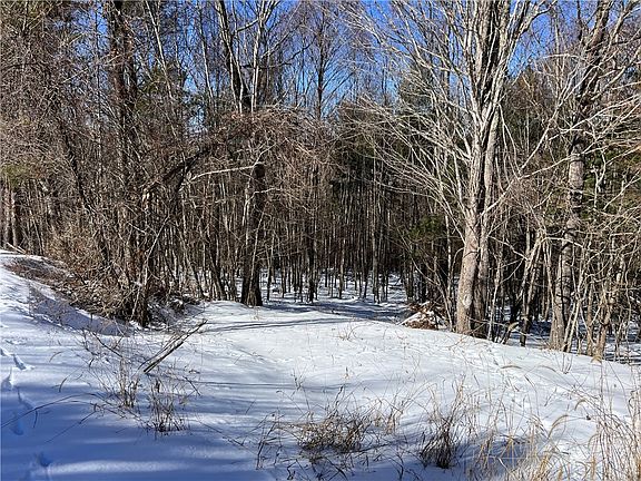 2nd image of TBD (13 & 14) Timberwilde Drive