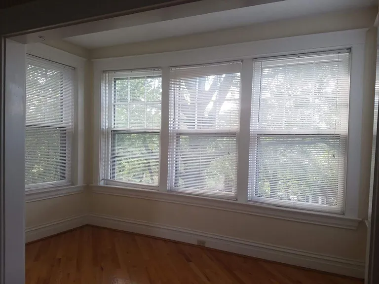 324 Laurel St #1N — Photo 6